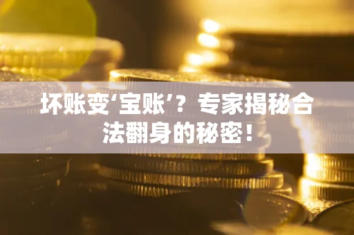 济南坏账变‘宝账’？专家揭秘合法翻身的秘密！