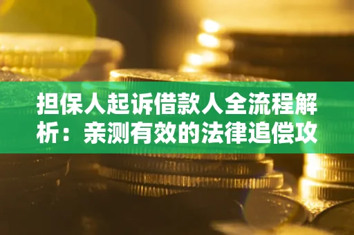 济南担保人起诉借款人全流程解析：亲测有效的法律追偿攻略