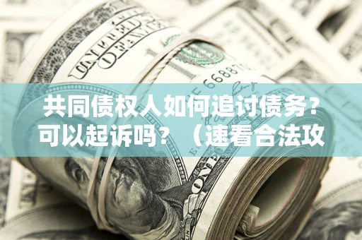 济南共同债权人如何追讨债务？可以起诉吗？（速看合法攻略）